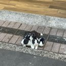 3박 4일 대만 여행
