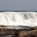 바다의향기 이미지