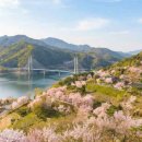 물태리 다목적회관 이미지