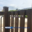 사동초등학교 이미지