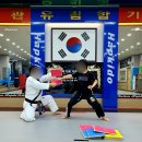 수룡관합기도 유림합기스쿨 이미지