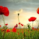 상가박사공인중개사사무소 이미지