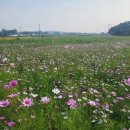 봉선1로 이미지