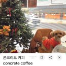 경의로(1) | 밤리단길 반려동물동반+주차편한 콘크리트 커피 후기
