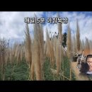 [매일5분 아침묵상] - 걱정 부자 / 김연희마리아 수녀 이미지