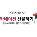 공캘리그라피 이미지
