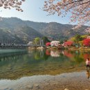 미술관 자작나무숲 | [핫플 여행 코스] 강원도 횡성군 핫플 여행 코스 추천 가이드 (2025년)