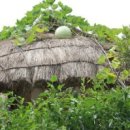 고기싸롱 이미지