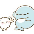 안심제과 이미지