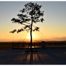 만경1경 이미지