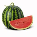 달달한민족 이미지