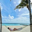 블루홀센터 | 더 세인트레지스 몰디브(The St.Regis maldives)(4), Cargo, 블루홀스파, 칵테일파티, 카약