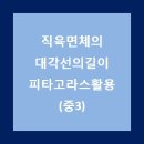 피타고라스학원