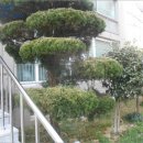 여문1로 이미지