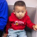 멍멍이랑 호호아줌마 이미지