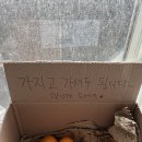 백패커스빌라제주 | 제주 올레길13코스 에어비앤비 가성비 숙소, 백패커스빌라