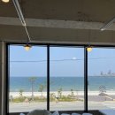 멍선생 애견카페 | 포항 송도 카페 멍쥬르 솔직 방문후기 | 포항 애견카페, 데이트 맛집, 포항핫플 추천