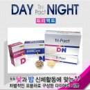 데이앤나이트 이미지