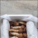 참새골농산