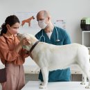 꿈에동물병원 이미지