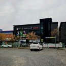 황제 시래기 명태조림(인삼로75) | 증평 현지인 맛집 속이 촉촉한 명태조림