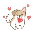 오즈펫살롱 이미지