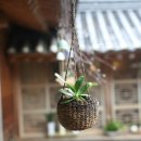 산책하우스 민박 이미지