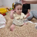 원주암어린이집 | [11months🩷] 돌잔치 준비+복직준비 / 331일부터 360일까지도 무럭무럭🌱
