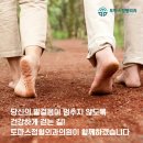 토마스정형외과의원 이미지