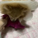 진부령 김치인삼겹 | 0404-0410 / F5 새로고침