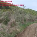 초일리 경로당 네이버블로그