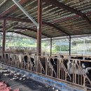 화성일태양광발전소 이미지