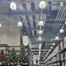 트레이더스 | 가습기 카본매트 히터 구매하러 트레이더스 방문 후기