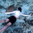 워터가드 | 편한 래쉬가드추천, 블랙몬스터핏 워터 스윔팬츠 프리다이빙 후기