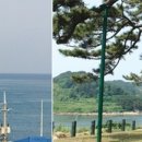 해송 이미지