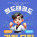 원도태권도