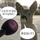 비스트모텔 이미지