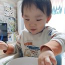 (주)더맘 | 더맘 즉석 누룽지 멥쌀 2봉+오곡 2봉+홍국미 2봉 총 6봉