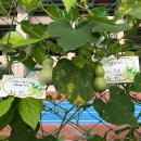 부천종합운동장(부천도시공사) 이미지