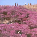 단석산 진달래산행 신청하세요 이미지