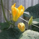 충남전세버스협동조합 이미지