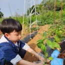 제남농장 이미지