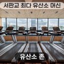리조트휘트니스판교