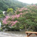 공주유스호스텔 이미지