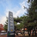 한밭수목원 | 대전 당일치기 혼자여행 추천 한밭수목원 후기