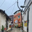 대천식당 | [경북 포항] 포항 구룡포 일본인가옥거리 까멜리아 모리국수 맛집 “대천식당” 내돈내산 후기