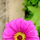 명월리경로당 이미지