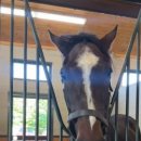 우승목장 이미지