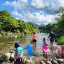 푸른산업 이미지