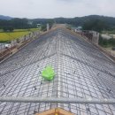 여주-0908 이미지